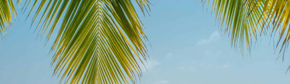 Wir machen Urlaub Juli 2026